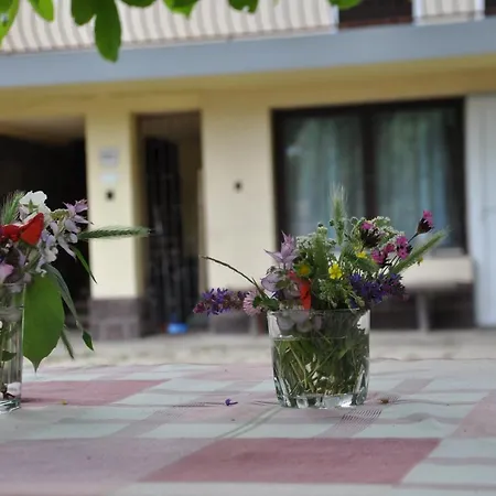 Apartment Balaton 85 *